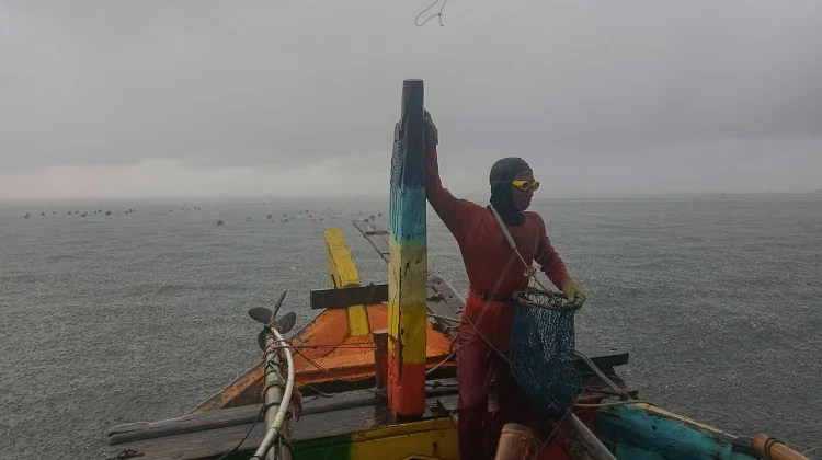 Mengabadikan Kegigihan Nelayan Kerang Hijau Cilincing di Tengah Cuaca Ekstrem