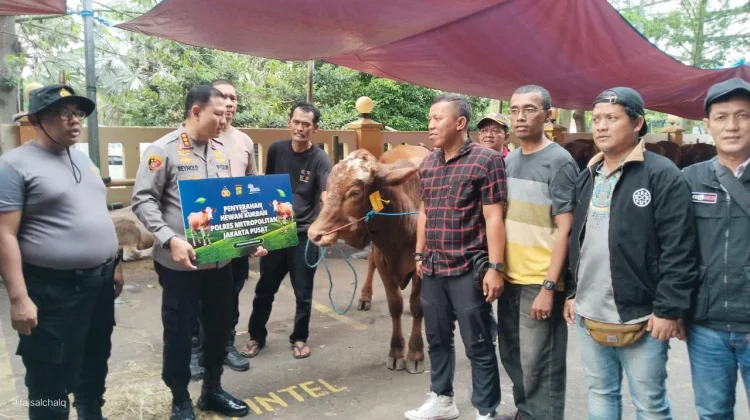 Iduladha 1447 H, Polres Metro Jakpus Bagikan Puluhan Hewan Kurban