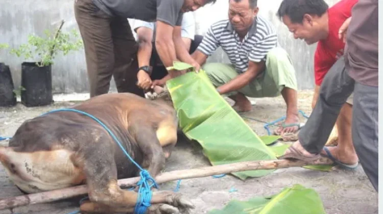 Cara Membersihkan Masjid setelah Penyembelihan Hewan Kurban
