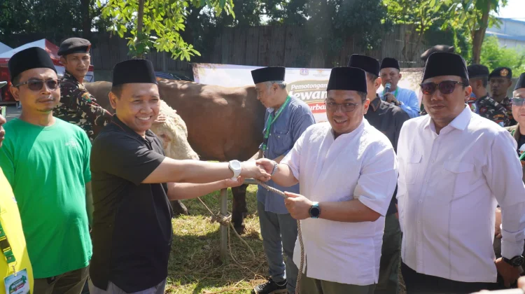 Iduladha 1447 Hijriah, PWNU DKI Serahkan Pemotongan Hewan Kurban pada Dharma Jaya