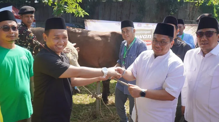 PWNU DKI Potong Hewan Kurban Melalui Dharma Jaya