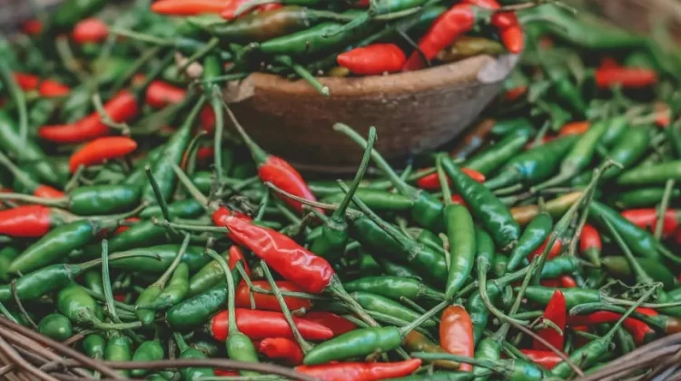 Harga Cabai Rawit Tembus Rp92.250 per Kg