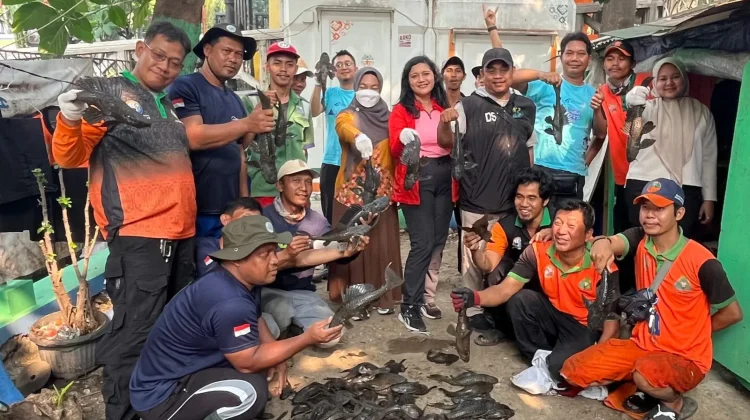 KPKP Jakbar Tangkap 104 Ekor Ikan Sapu-Sapu di Tamansari