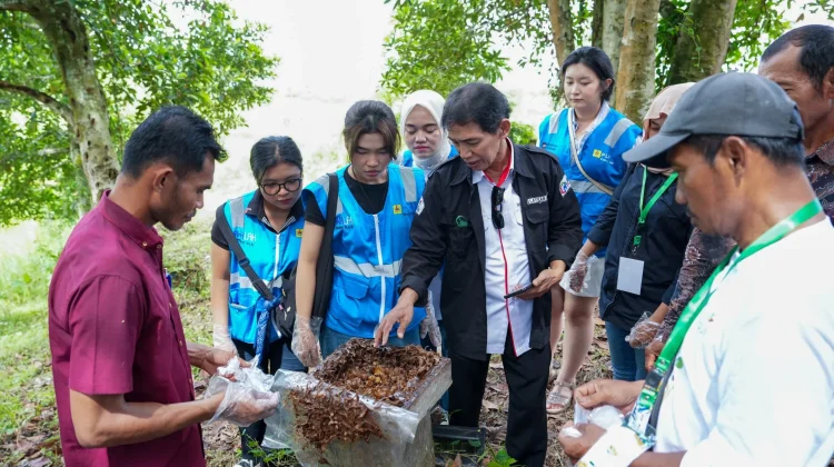 PLN EPI Dorong UMKM Naik Kelas lewat Budidaya Madu Kelulut