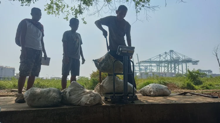 Buruh Pengolah Limbah Ikan Tetap Gigih Bekerja tanpa Jaminan Sosial