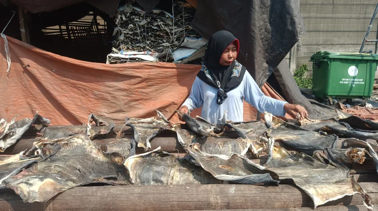 Kulit Ikan yang Mengubah Nasib Keluarga
