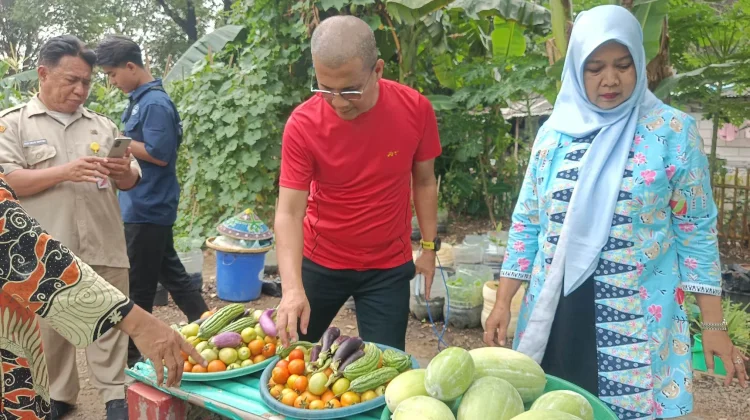 Kolaborasi Warga dan PPSU: Mengubah Lahan "Tidur" yang Gersang Jadi Oase Produktif