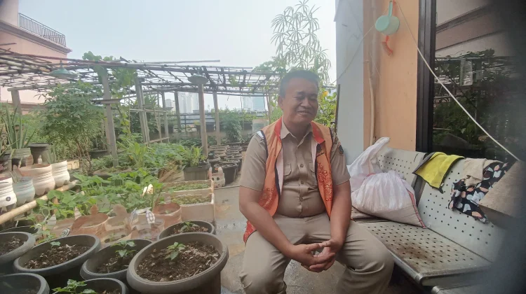 Kelurahan Tangki Sulap Rooftop Gedung Jadi Lahan Pertanian Produktif