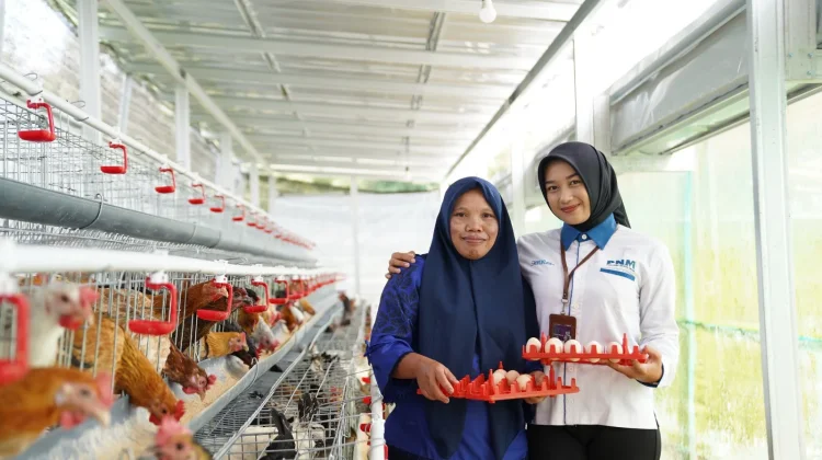 PNM Raih Indonesia Most Trusted Companies, Bukti Patuh Tata Kelola