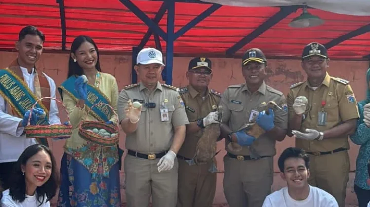Kepulauan Seribu Berhasil Mengolah Sampah Organik Menjadi Pakan Ternak