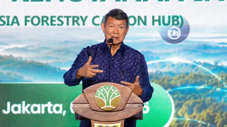 Hashim: Perdagangan Karbon Kehutanan Program Pemerintah Paling Cepat Realisasi