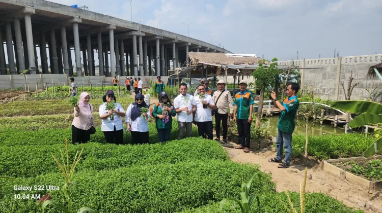 Ubah Wajah Kampung, Pemuda Rawa Malang Optimis Bangun Greenhouse di Area Waduk