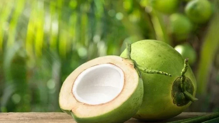 Manfaat Air Kelapa bagi Kesehatan