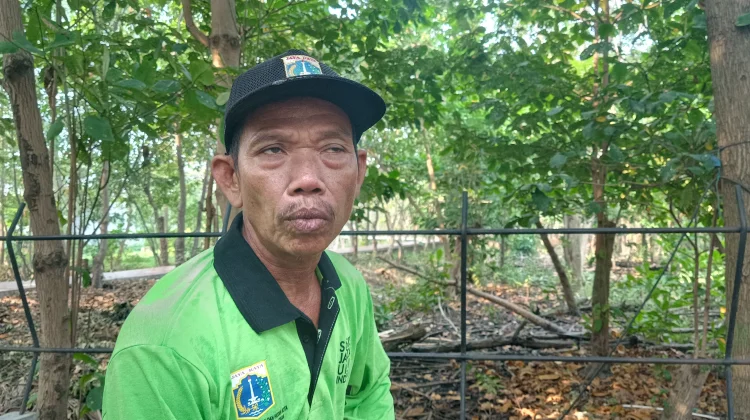 Meniti Harapan di Hutan Kota Rorotan: Kisah Sang Penjaga Paru-Paru Ibu Kota