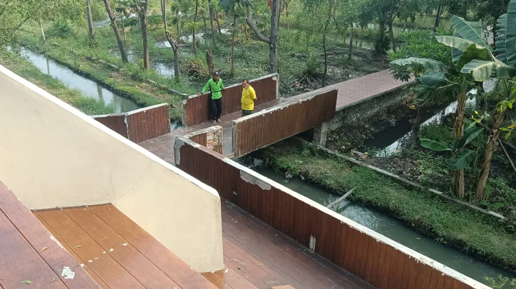 Kisah Petugas Menjaga Paru-Paru Kota, Merawat Hutan Kota Rorotan dengan Hati