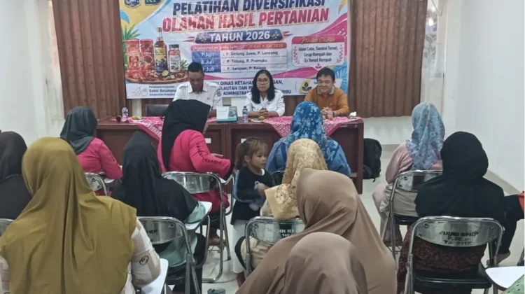 RPTRA Widya Bahari Panen Sayuran Dukung Ketahanan Pangan Pulau Harapan