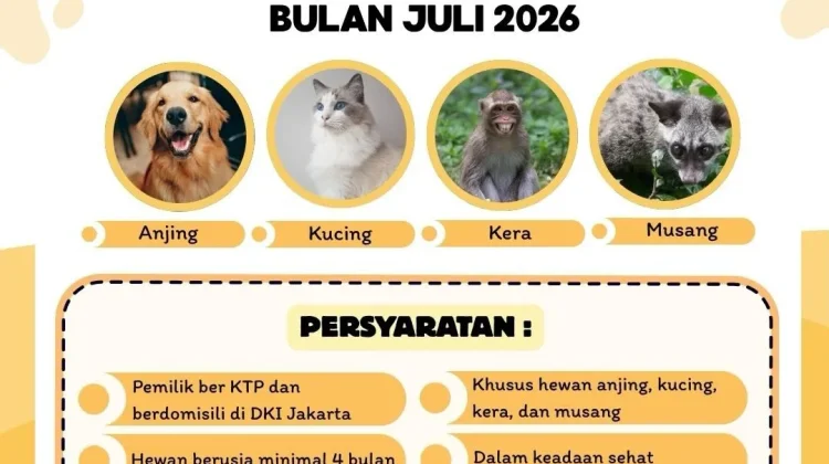 Hewan Sehat, Keluarga Bahagia: Jakut Gulirkan Layanan Kesehatan Hewan Keliling