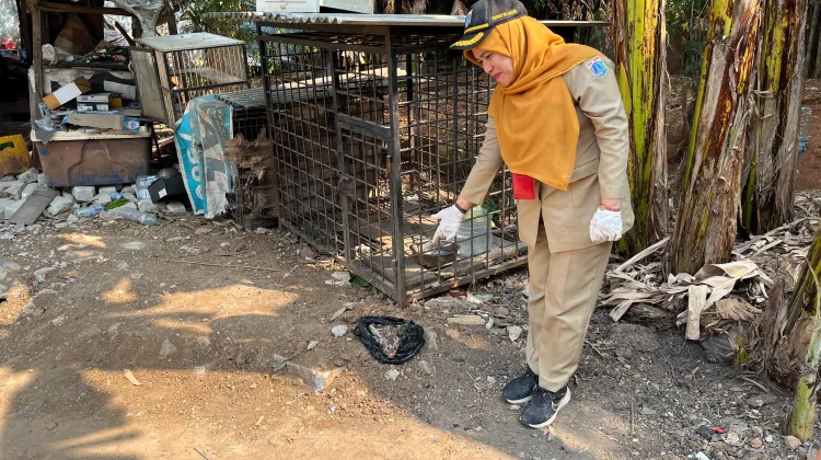KPKP Jakbar Temukan Dugaan Jagal HPR di Lapo Cengkareng Jakbar