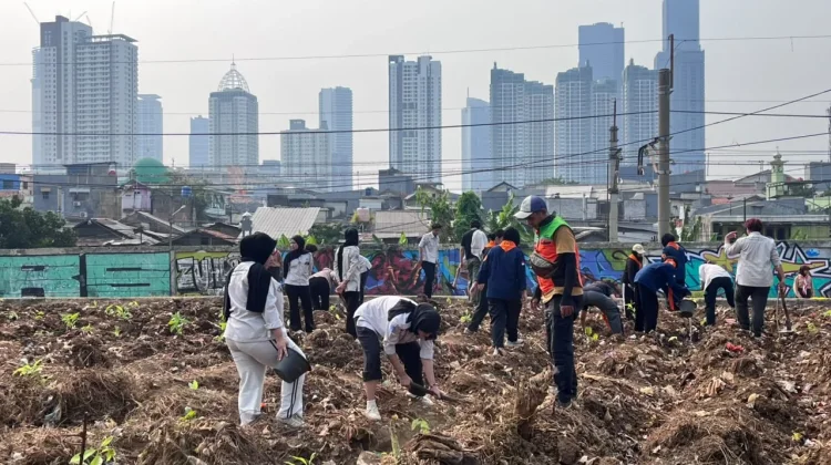 Pemkot Jakpus Tanam Pohon Produktif di Bantaran Sungai Ciliwung