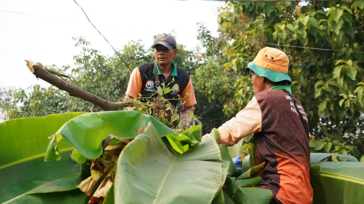 Pemkot Jaktim Siapkan Pembangunan Ruang Terbuka Hijau Taman Cakung Cilincing