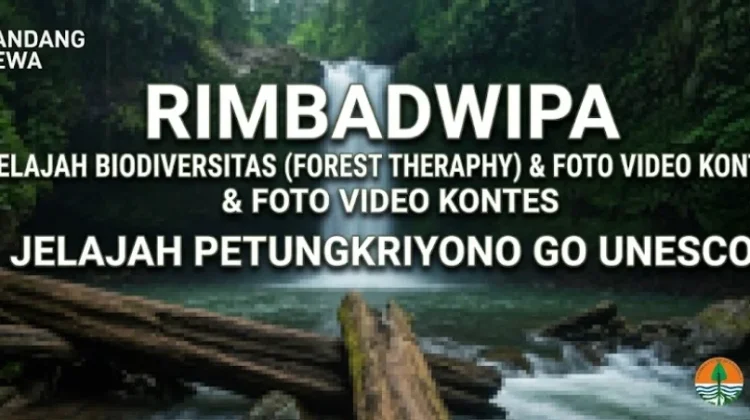 Sensasi Forest Therapy dan Eksplorasi Keasrian Hutan Petungkriyono