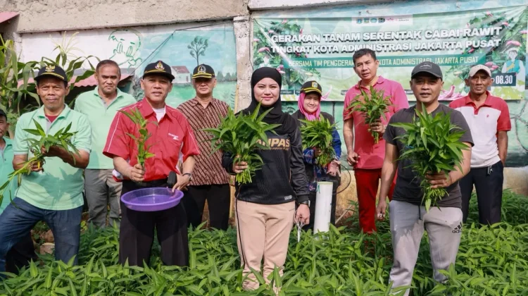 Poktan Anggrek Ceria Cempaka Putih Barat Panen 20 Kilogram Kangkung