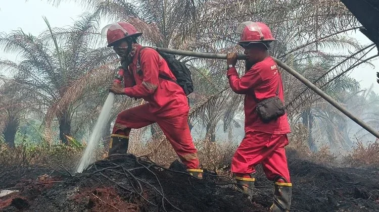 Tim Manggala Agni Kemenhut Padamkan Kebakaran Hutan dan Lahan di Aceh