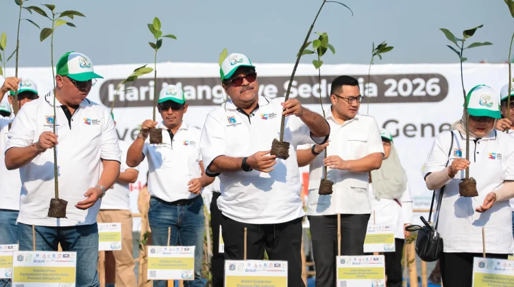 Pemprov DKI Tanam 24.310 Mangrove di Lima Lokasi