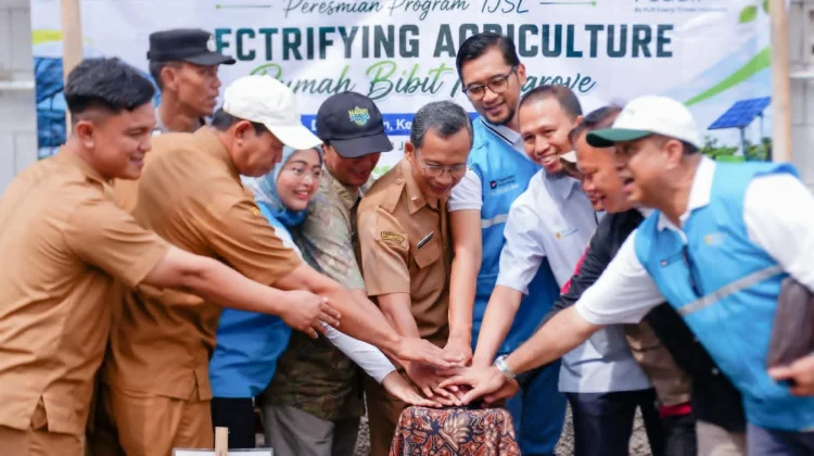 PLN EPI Resmikan Rumah Pembibitan Mangrove Berbasis Electrifying Agriculture