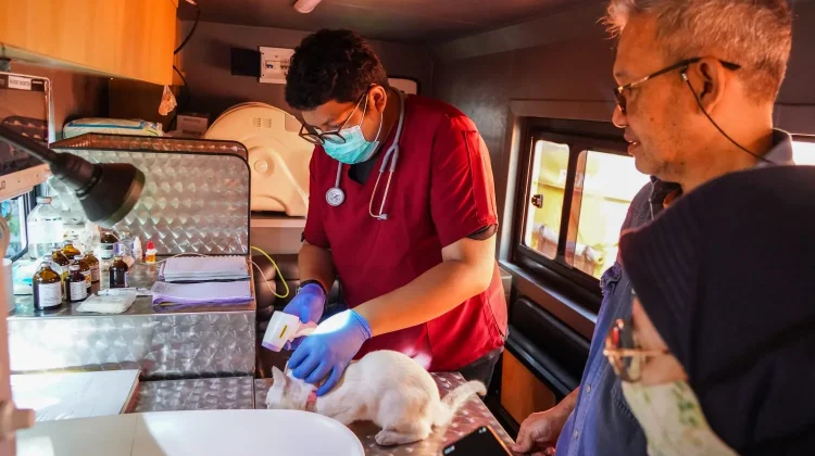 Mobil Klinik Hewan Keliling Diserbu Antusias Warga Kelurahan Kenari
