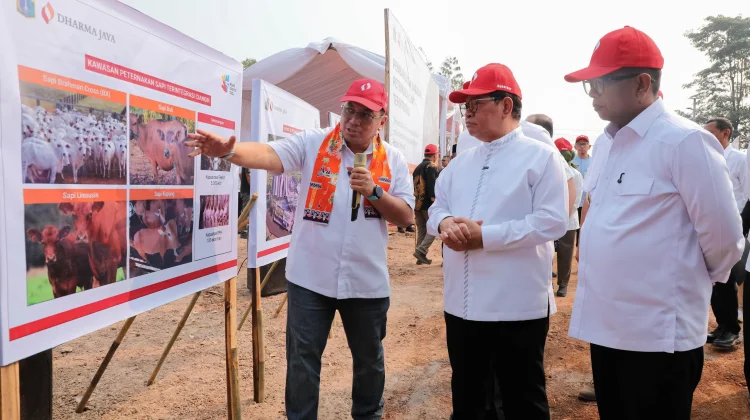 Gubernur Pramono Siapkan Kawasan Peternakan Terintegrasi di Ciangir Banten