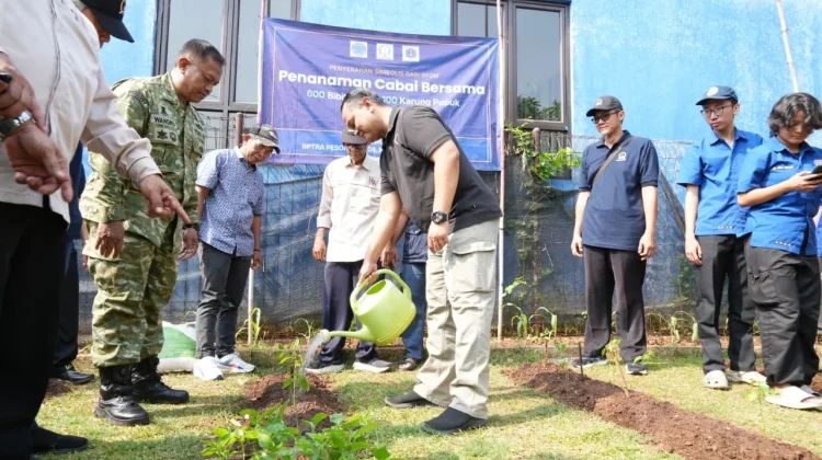 Kelurahan Pondok Kopi Terima Bantuan 600 Bibit Cabai dan 2 Ton Pupuk