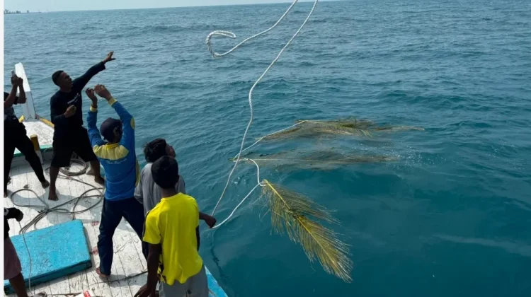 Konservasi Pulau Sabira PLN Raih Penghargaan Platinum Nasional
