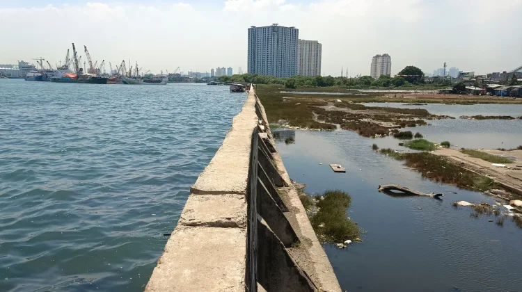 Tanggul Muara Baru Kembali Alami Retakan hingga Merembes ke Jalan