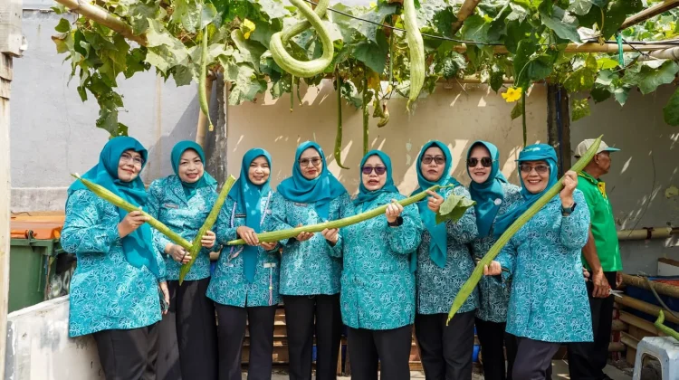 Poktan RW 07 Cempaka Baru Panen Timun Suri dan Oyong