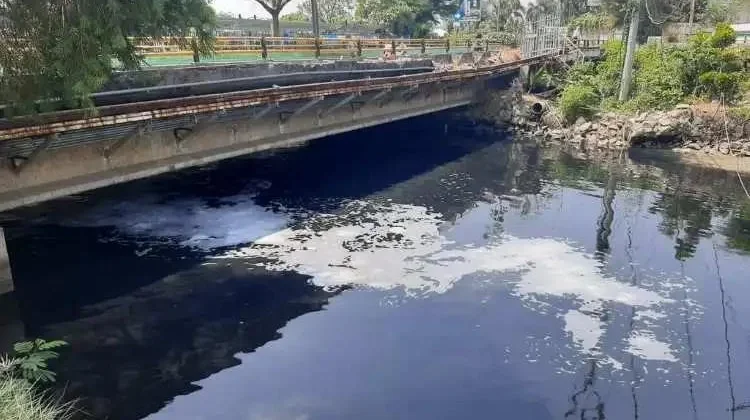 Pemkot Bekasi Diharapkan Segera Menelusuri Sumber Pencemaran Kali Bekasi
