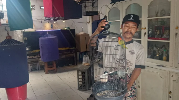 Kicau Mania Viral, Kenapa Pasar Burung Tetap Sepi?