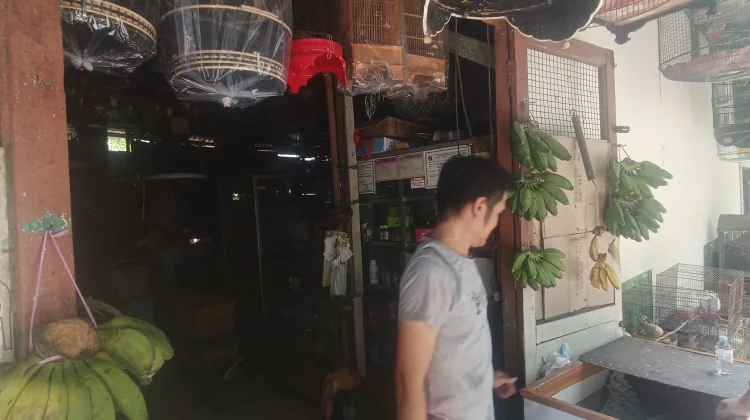 Potret Pedagang Burung Suara Merdu di Tengah Lesunya Bisnis Burung Kicau