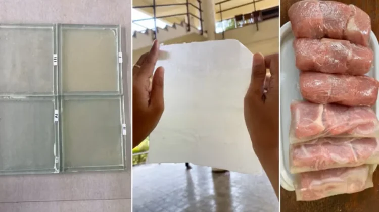 Peneliti IPB, Ciptakan Formula Bioplastik Berbahan Pelepah Pisang