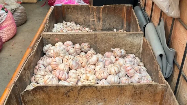 BPS Ungkap Harga Bawang Putih Mulai Kembali Turun