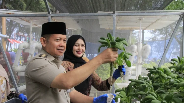 Panen Melon dan Sayuran Pulau Pramuka, Dorong Urban Farming untuk Ketahanan Pangan