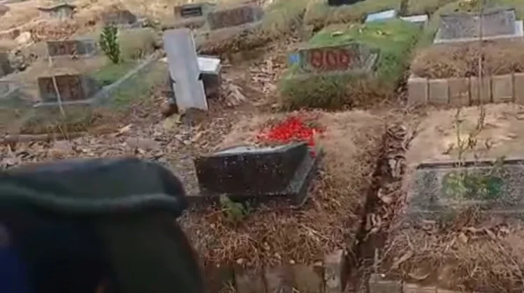 Kemarau, Rumput TPU Kemiri Rawamangun Kering
