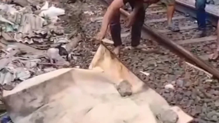 Seorang Warga Tertemper KRL di Jalur Cawang-Tebet, Sebabkan Pengereman Rusak