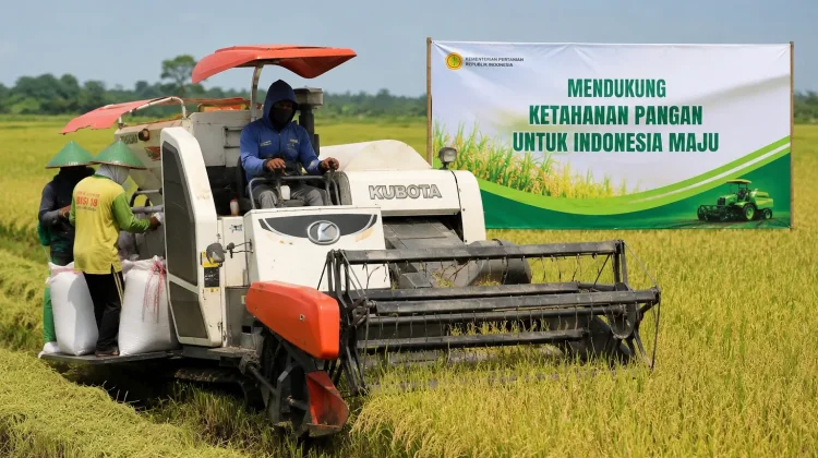 Modernisasi Pertanian dan Pangan Lokal Perkuat Ketahanan Pangan
