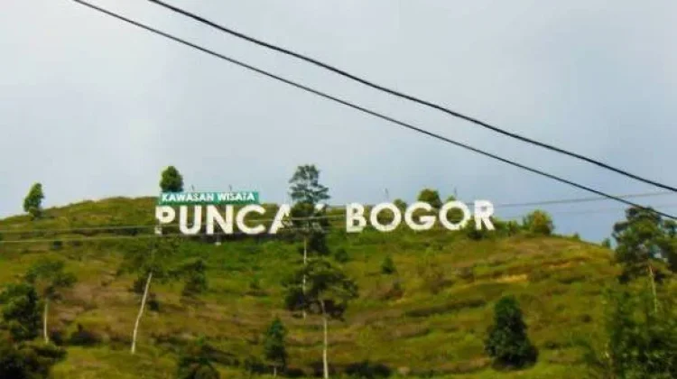 Udara di Puncak Bogor Terasa Makin Dingin Saat Kemarau? Ini Penjelasan Pakar IPB