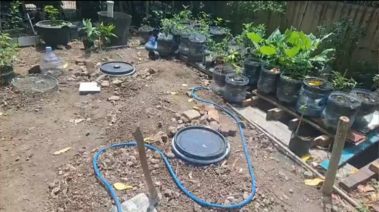 Warga di Grogol Jakbar Buat Biopori untuk Tampung 240 Kg Sampah Organik