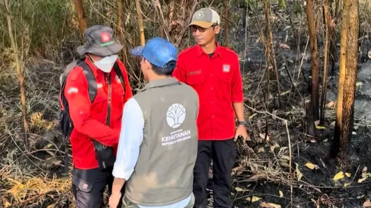 Menhut Raja Antoni Tinjau Kebakaran Hutan dan Lahan Kalsel