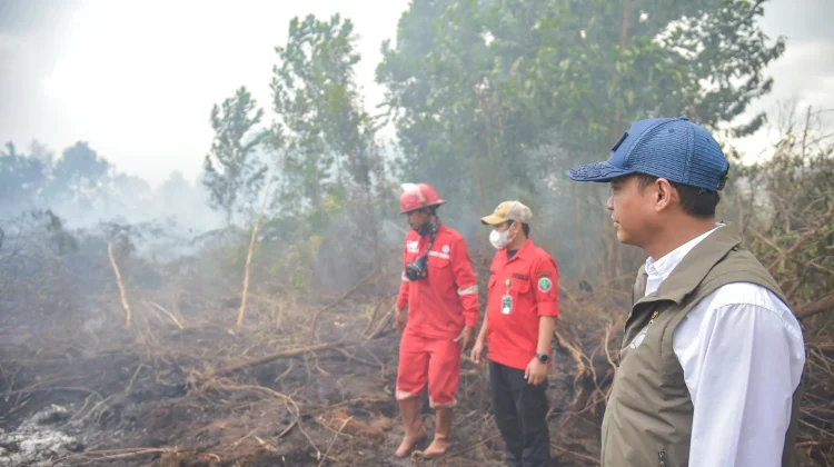 Tinjau Guntung Damar, Menhut: Pelaku Karhutla Ditindak tanpa Pandang Bulu