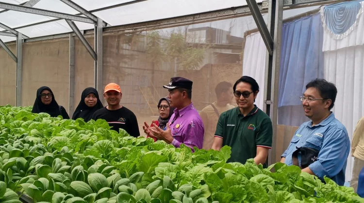 Rumah Hidroponik Dorong Kemandirian Warga Bekasi