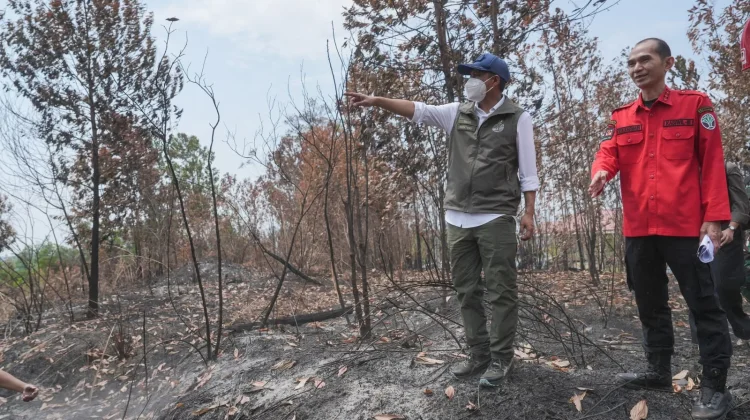 Menhut Raja Antoni Pastikan Karhutla Tak Ancam Habitat Orangutan